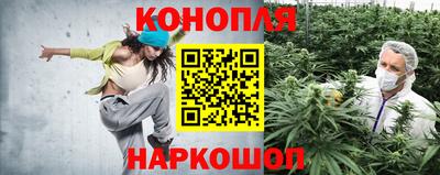 трава Владикавказ