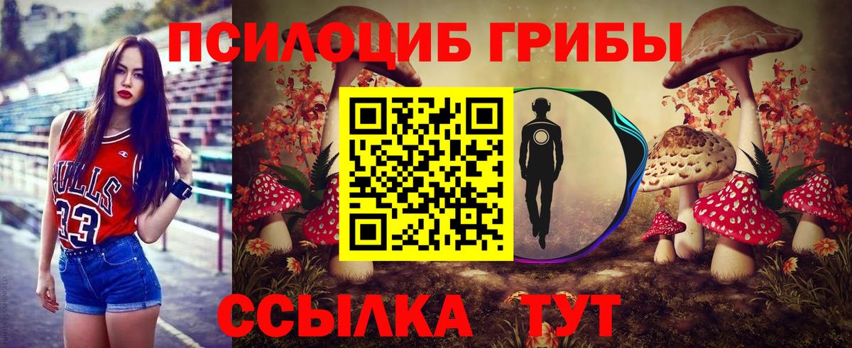 Бор  Псилоцибиновые грибы Psilocybine cubensis  Вход с VPN  Галлюциногенные грибы Psilocybe 