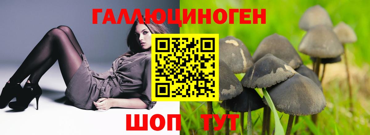 Псилоцибиновые грибы мухоморы Бор